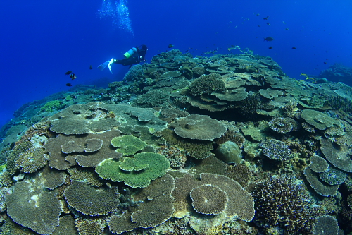 d0114375_22475100.jpg