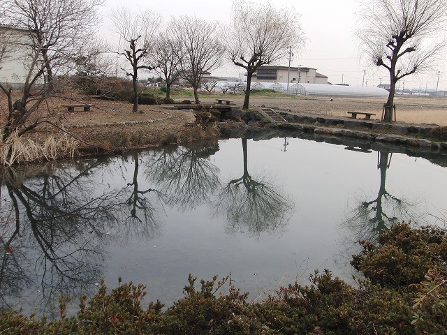 d0054276_20172160.jpg