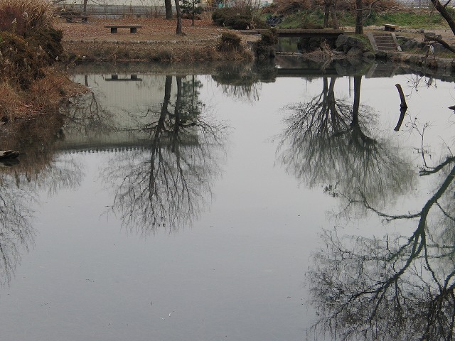 d0054276_2017624.jpg