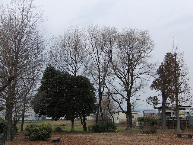 d0054276_202056100.jpg