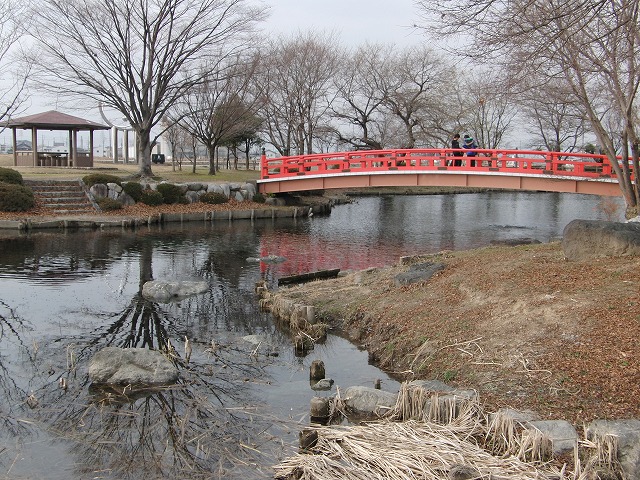 d0054276_2021993.jpg