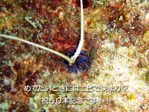 本日主力の出番はありませんでしたが・・・_f0144385_091465.jpg