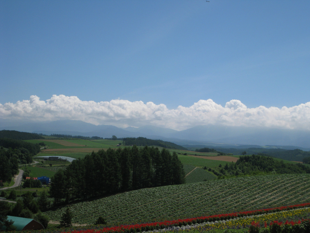 c0132387_36256.jpg