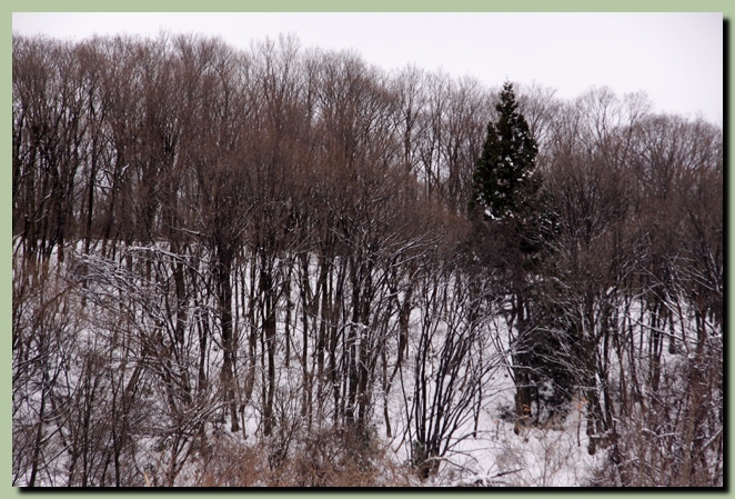f0079990_9521984.jpg