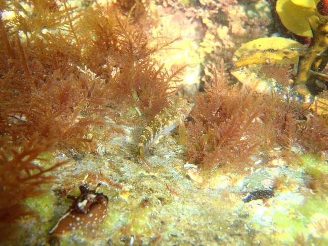 b0122893_235516100.jpg