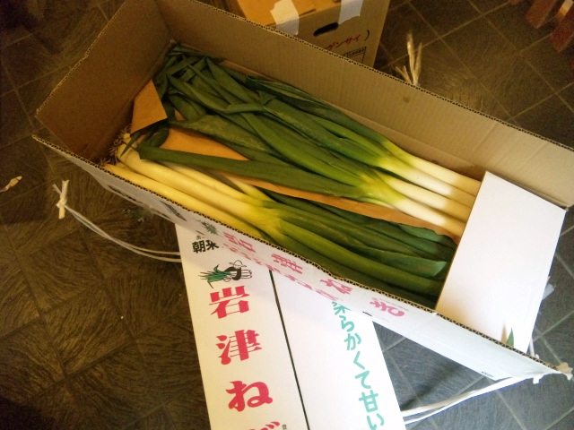 地野菜と穴子鍋2011 その１_e0188897_15241666.jpg