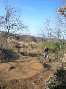 e0070606_3192899.jpg