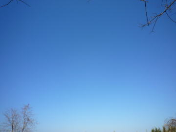 e0070606_373214.jpg