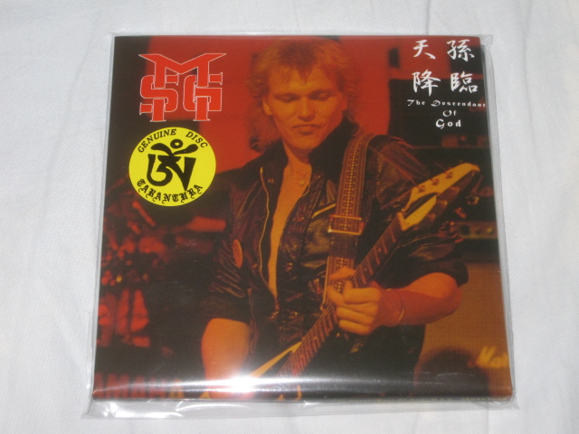 THE MICHAEL SCHENKER GROUP /天孫降臨 - 洋楽