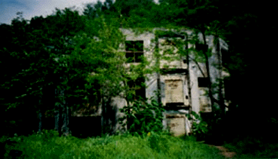 e0103408_3425979.gif