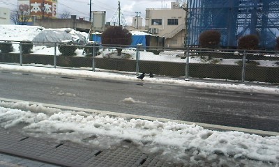 b0160312_22473889.jpg
