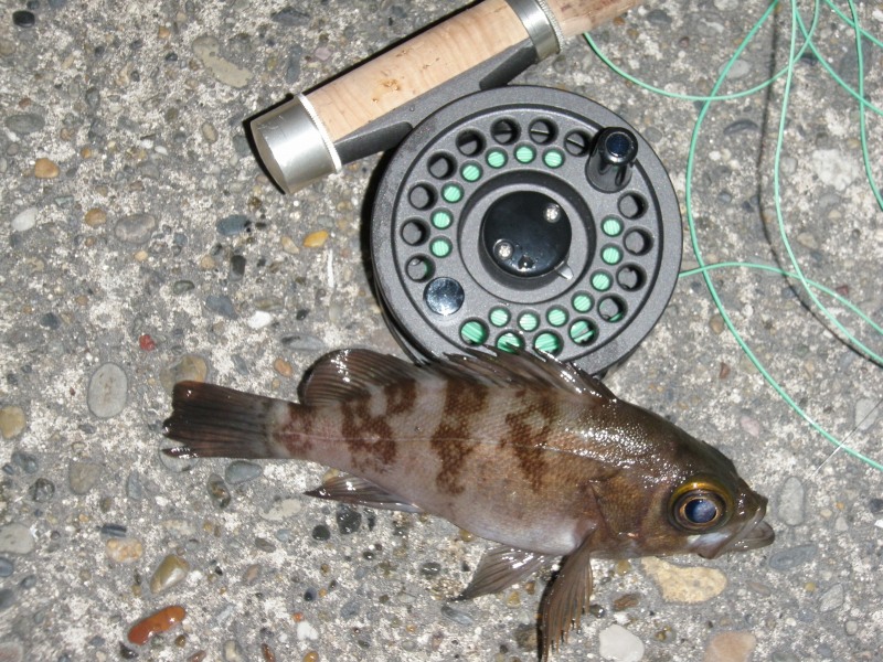 c0022113_17494775.jpg