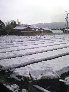 c0146714_20221581.jpg