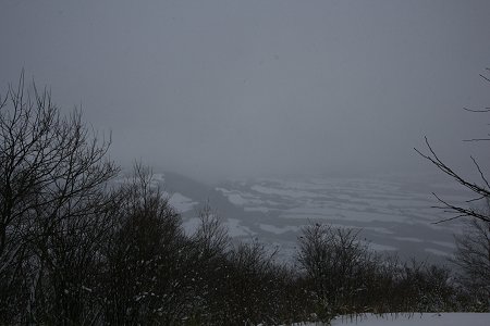 d0143214_05446.jpg