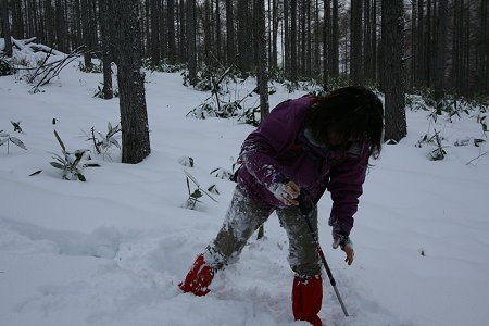 d0143214_059387.jpg