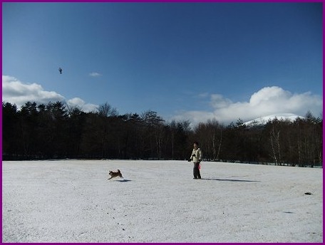 d0143214_21283268.jpg