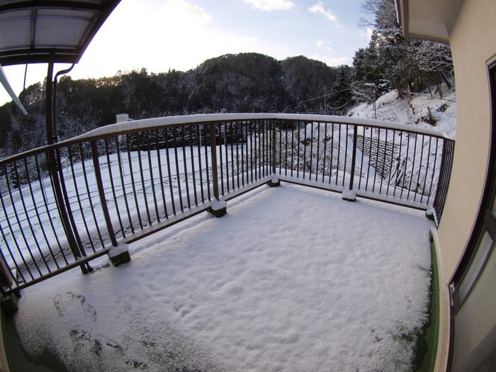雪の大晦日_c0116915_23573965.jpg