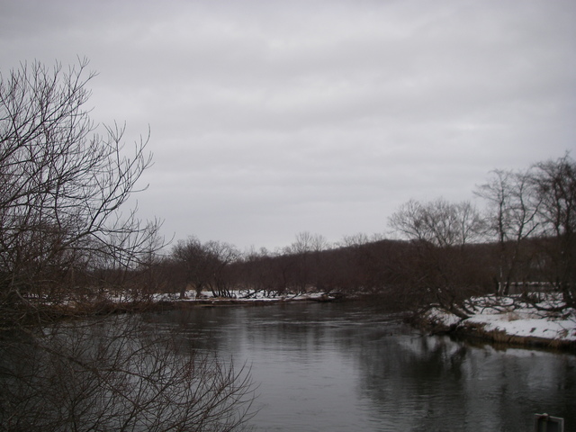 d0202215_81307.jpg