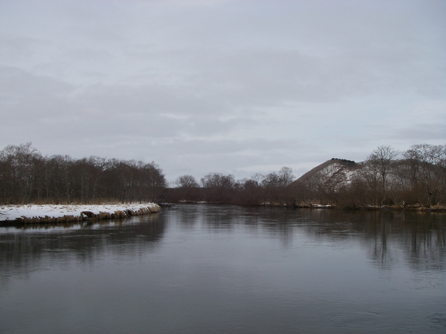 d0202215_8132618.jpg