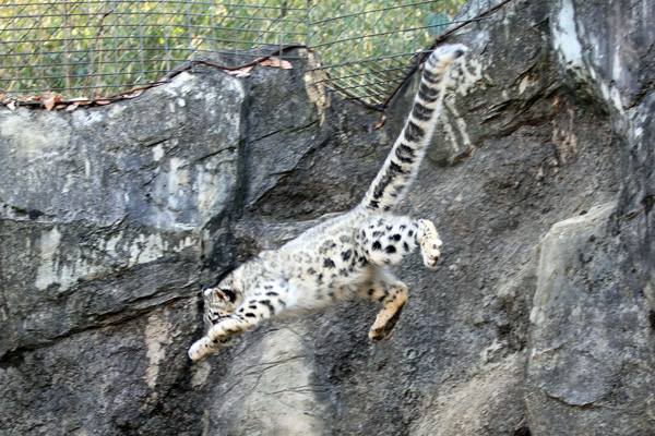 f0224624_1353862.jpg