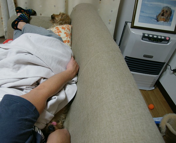 f0046128_8252121.jpg