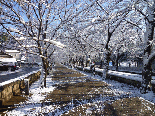 熊本年末ギリギリ大暴年会に行って来ました_f0035431_20405679.gif