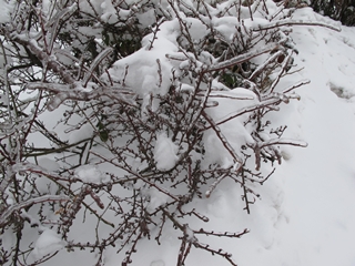 f0224632_20451037.jpg