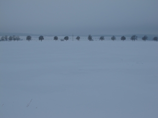 f0224632_20462451.jpg