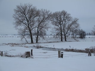 f0224632_20464378.jpg