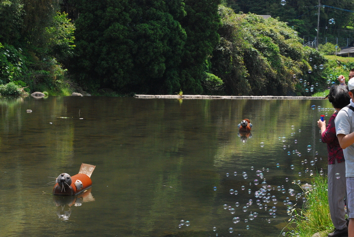 アサヒの一日_e0150235_10114097.jpg