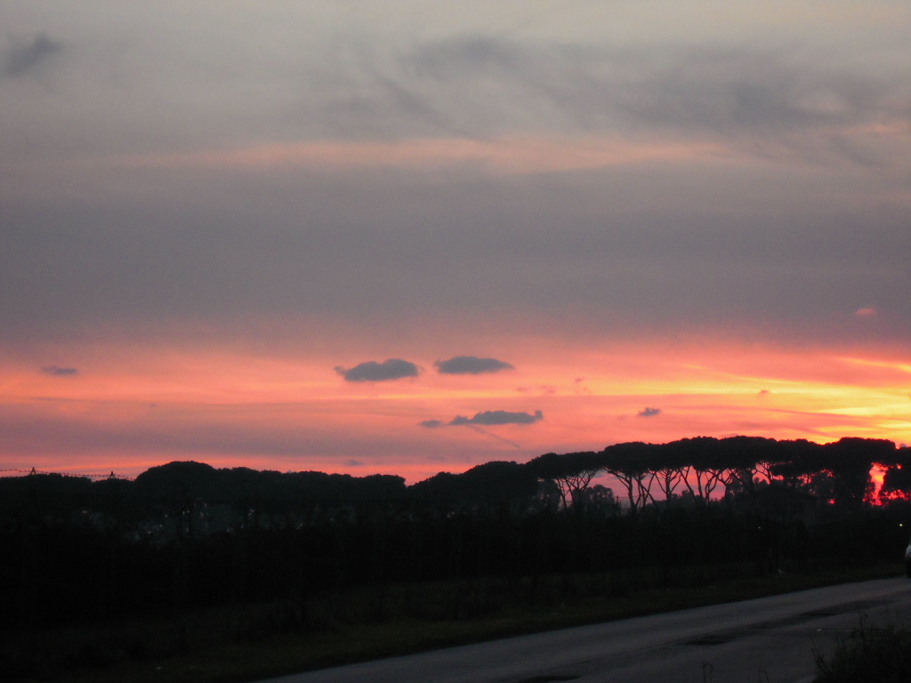 d0170140_163569.jpg