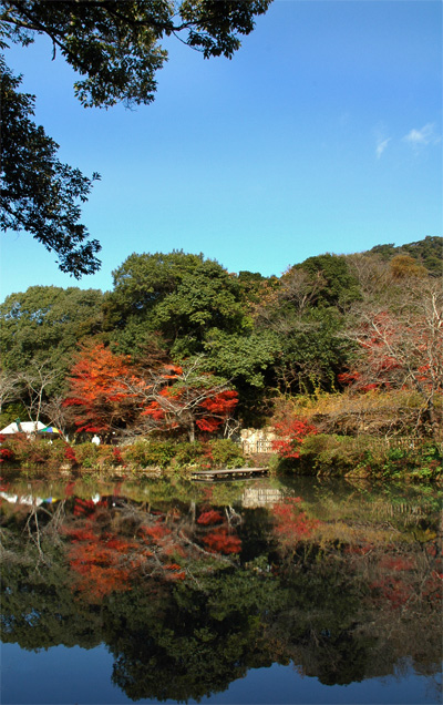 久しぶりの撮影会_b0016049_21583032.jpg
