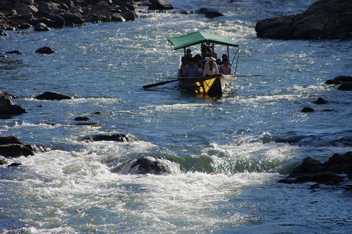 f0152550_1433275.jpg
