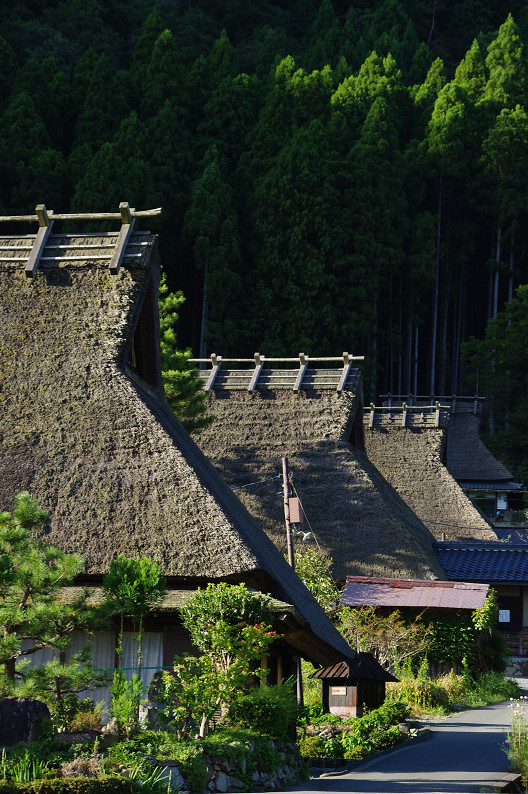 f0152550_14381215.jpg