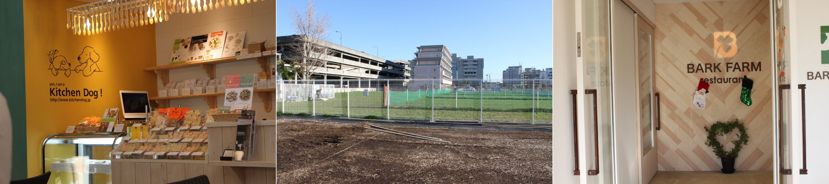 e0119258_16165049.jpg