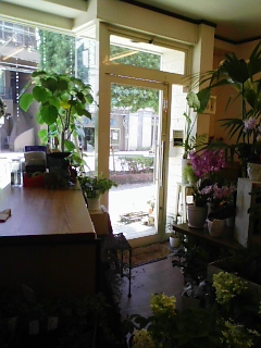 c0198560_11421567.jpg