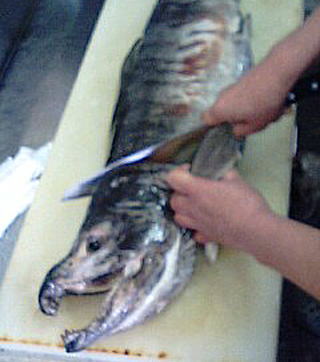 e0130662_255655.jpg