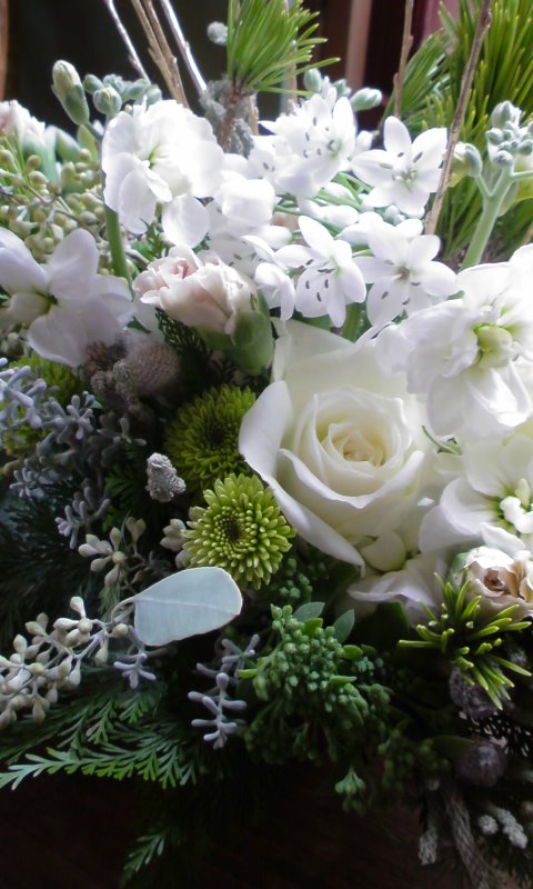 f0220768_83581.jpg