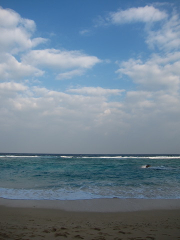 沖縄・海_a0167672_711717.jpg