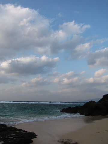 a0167672_711986.jpg