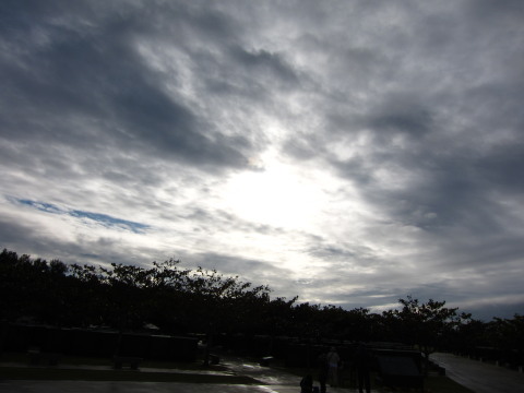 a0167672_7224150.jpg