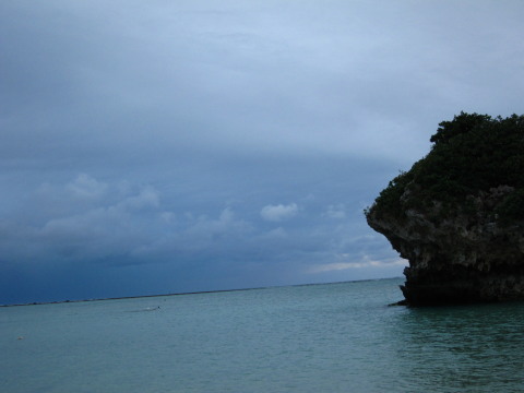 a0167672_722989.jpg