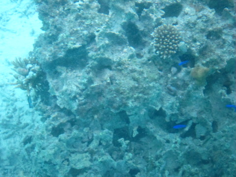 a0167672_742772.jpg