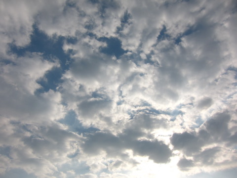 a0167672_852872.jpg