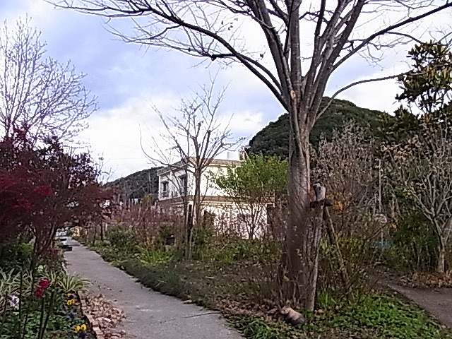 e0181373_21215666.jpg