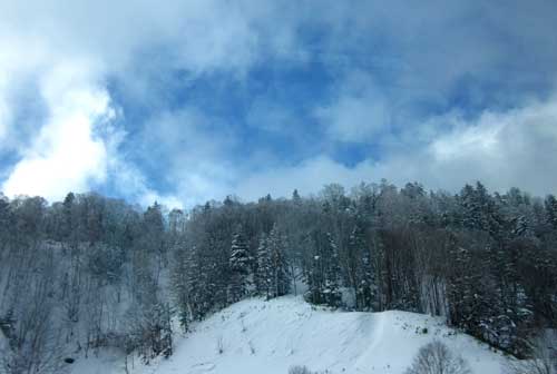 f0101174_16482069.jpg