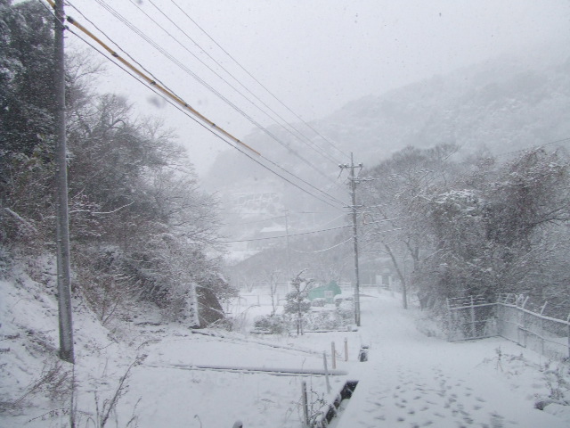 d0084677_10334734.jpg