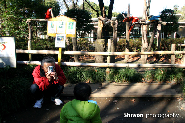 甥っ子動物園へ_d0170980_22241945.jpg