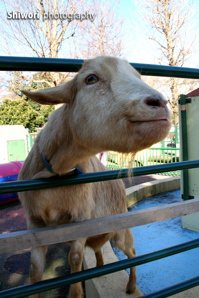 甥っ子動物園へ_d0170980_22251122.jpg