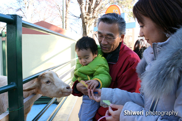 甥っ子動物園へ_d0170980_22252970.jpg